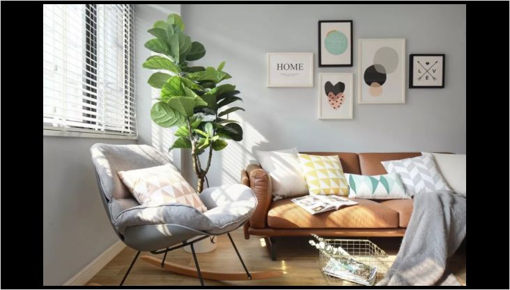 新家怎么除甲醛，不容忽視